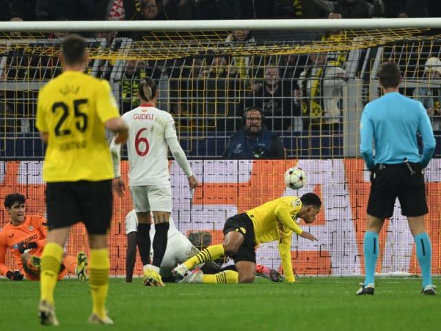 1665538362899000294.jpg 403F5574-CD36-4393-8BC2-B55F4F8D01E3.jpg